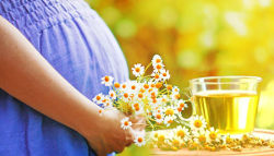 Какие травяные чаи можно пить беременным