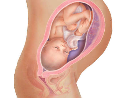 беременность 34 35 недель развитие плода