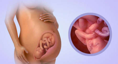 Беременность 38-39 недель признаки приближающихся родов