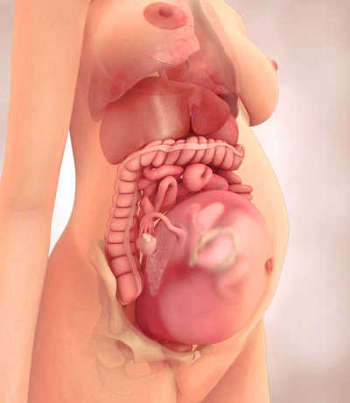 Физиологические изменения при беременности
