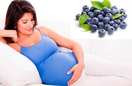 Голубика для беременных: польза и вред